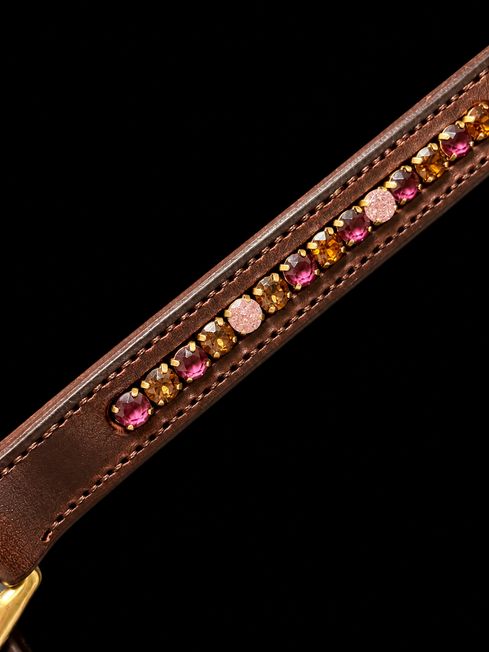 Elegantes Lederhalfter mit funkelnden Schmucksteinen