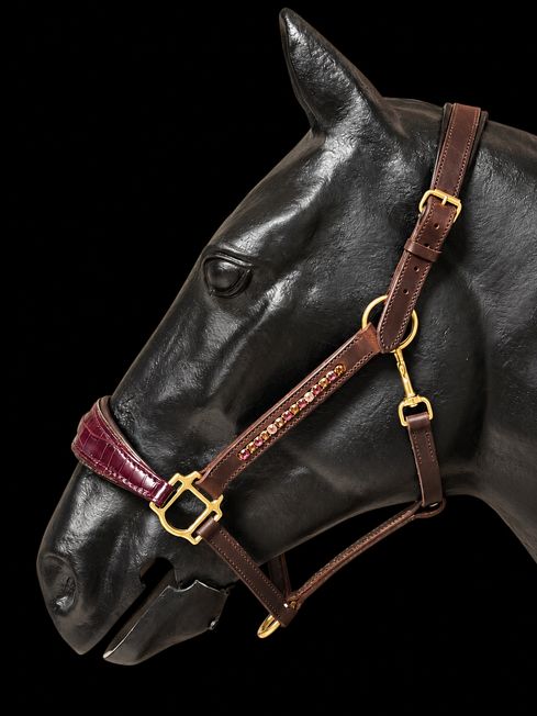 Elegantes Lederhalfter mit funkelnden Schmucksteinen