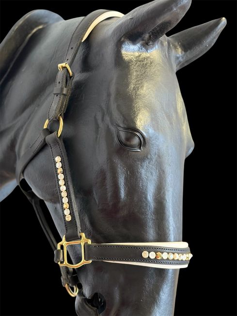 Handgefertigtes Halfter mit edlen Details